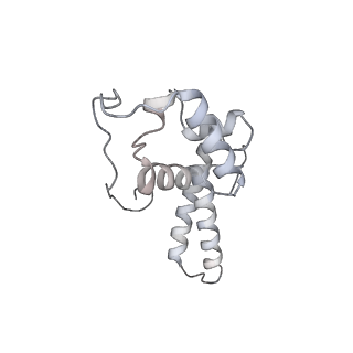 15124_8a3w_ST_v1-0
CRYO-EM STRUCTURE OF LEISHMANIA MAJOR 80S RIBOSOME : WILD TYPE