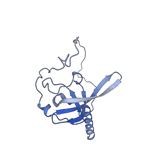 15124_8a3w_S_v1-0
CRYO-EM STRUCTURE OF LEISHMANIA MAJOR 80S RIBOSOME : WILD TYPE