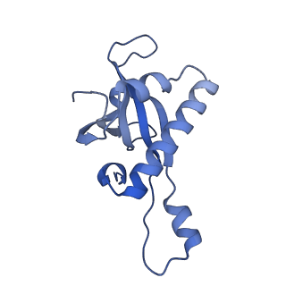 15124_8a3w_Y_v1-0
CRYO-EM STRUCTURE OF LEISHMANIA MAJOR 80S RIBOSOME : WILD TYPE