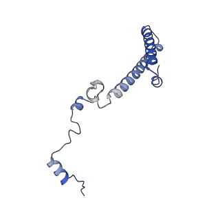15124_8a3w_a_v1-0
CRYO-EM STRUCTURE OF LEISHMANIA MAJOR 80S RIBOSOME : WILD TYPE