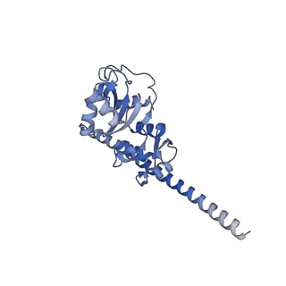 15124_8a3w_c_v1-0
CRYO-EM STRUCTURE OF LEISHMANIA MAJOR 80S RIBOSOME : WILD TYPE