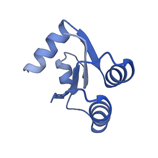 15124_8a3w_d_v1-0
CRYO-EM STRUCTURE OF LEISHMANIA MAJOR 80S RIBOSOME : WILD TYPE