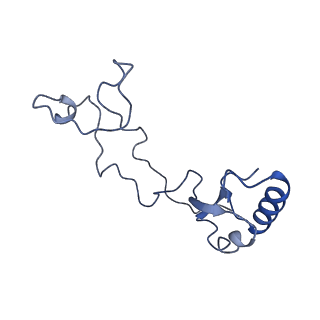 15124_8a3w_f_v1-0
CRYO-EM STRUCTURE OF LEISHMANIA MAJOR 80S RIBOSOME : WILD TYPE