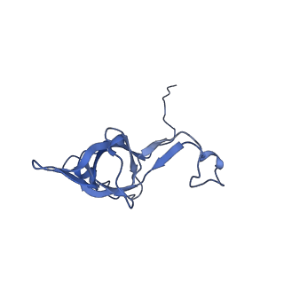 15124_8a3w_g_v1-0
CRYO-EM STRUCTURE OF LEISHMANIA MAJOR 80S RIBOSOME : WILD TYPE