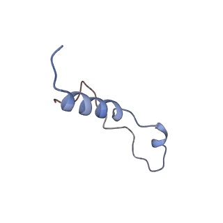 15124_8a3w_l_v1-0
CRYO-EM STRUCTURE OF LEISHMANIA MAJOR 80S RIBOSOME : WILD TYPE