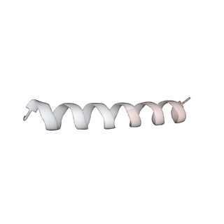 15124_8a3w_n_v1-0
CRYO-EM STRUCTURE OF LEISHMANIA MAJOR 80S RIBOSOME : WILD TYPE
