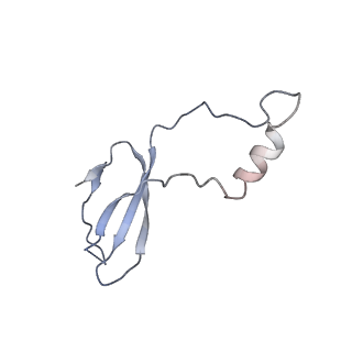 15124_8a3w_p_v1-0
CRYO-EM STRUCTURE OF LEISHMANIA MAJOR 80S RIBOSOME : WILD TYPE