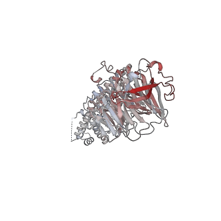 2925_5a31_I_v1-3
Structure of the human APC-Cdh1-Hsl1-UbcH10 complex.