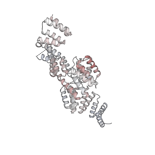 2925_5a31_J_v1-3
Structure of the human APC-Cdh1-Hsl1-UbcH10 complex.