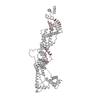 2925_5a31_N_v1-3
Structure of the human APC-Cdh1-Hsl1-UbcH10 complex.