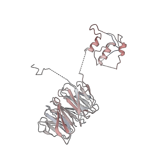 2925_5a31_R_v1-3
Structure of the human APC-Cdh1-Hsl1-UbcH10 complex.