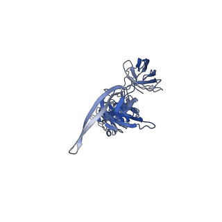 11630_7a4a_A_v1-2
Envelope glycprotein of endogenous retrovirus Y032 (Atlas virus) from the human hookworm Ancylostoma ceylanicum