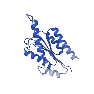 11631_7a4f_AA_v1-2
Aquifex aeolicus lumazine synthase-derived nucleocapsid variant NC-1 (120-mer)