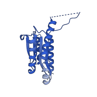 11631_7a4f_AB_v1-2
Aquifex aeolicus lumazine synthase-derived nucleocapsid variant NC-1 (120-mer)
