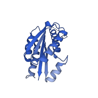 11631_7a4f_AC_v1-2
Aquifex aeolicus lumazine synthase-derived nucleocapsid variant NC-1 (120-mer)
