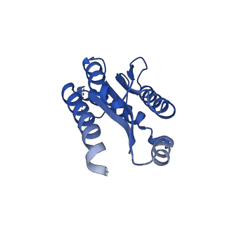 11631_7a4f_AD_v1-2
Aquifex aeolicus lumazine synthase-derived nucleocapsid variant NC-1 (120-mer)