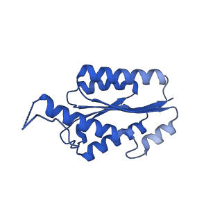 11631_7a4f_AF_v1-2
Aquifex aeolicus lumazine synthase-derived nucleocapsid variant NC-1 (120-mer)