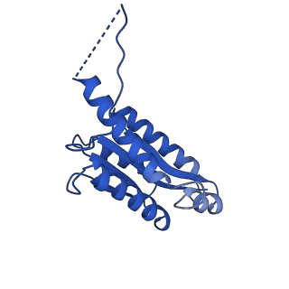 11631_7a4f_AG_v1-2
Aquifex aeolicus lumazine synthase-derived nucleocapsid variant NC-1 (120-mer)