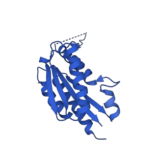11631_7a4f_AH_v1-2
Aquifex aeolicus lumazine synthase-derived nucleocapsid variant NC-1 (120-mer)