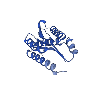 11631_7a4f_AI_v1-2
Aquifex aeolicus lumazine synthase-derived nucleocapsid variant NC-1 (120-mer)