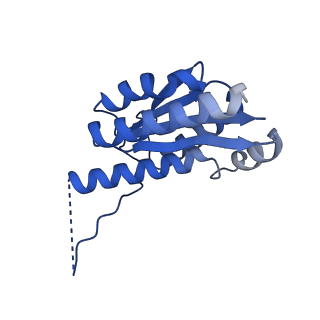 11631_7a4f_AJ_v1-2
Aquifex aeolicus lumazine synthase-derived nucleocapsid variant NC-1 (120-mer)