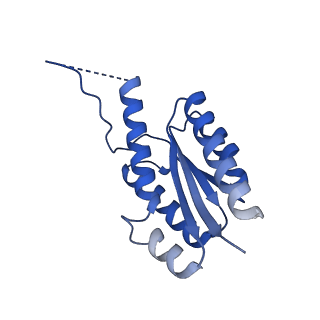 11631_7a4f_BB_v1-2
Aquifex aeolicus lumazine synthase-derived nucleocapsid variant NC-1 (120-mer)