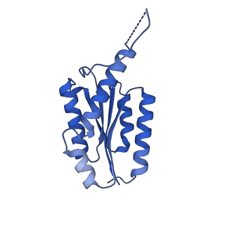 11631_7a4f_BC_v1-2
Aquifex aeolicus lumazine synthase-derived nucleocapsid variant NC-1 (120-mer)
