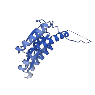 11631_7a4f_BD_v1-2
Aquifex aeolicus lumazine synthase-derived nucleocapsid variant NC-1 (120-mer)