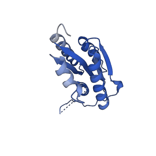 11631_7a4f_BF_v1-2
Aquifex aeolicus lumazine synthase-derived nucleocapsid variant NC-1 (120-mer)