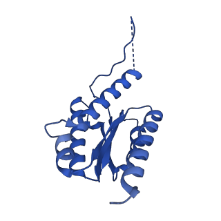 11631_7a4f_BH_v1-2
Aquifex aeolicus lumazine synthase-derived nucleocapsid variant NC-1 (120-mer)