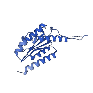 11631_7a4f_BI_v1-2
Aquifex aeolicus lumazine synthase-derived nucleocapsid variant NC-1 (120-mer)