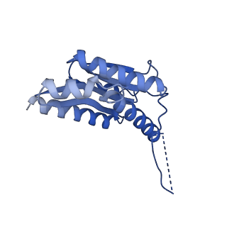 11631_7a4f_BJ_v1-2
Aquifex aeolicus lumazine synthase-derived nucleocapsid variant NC-1 (120-mer)