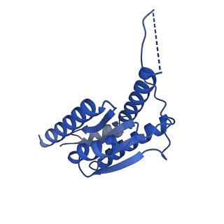 11631_7a4f_CA_v1-2
Aquifex aeolicus lumazine synthase-derived nucleocapsid variant NC-1 (120-mer)