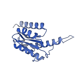 11631_7a4f_CE_v1-2
Aquifex aeolicus lumazine synthase-derived nucleocapsid variant NC-1 (120-mer)