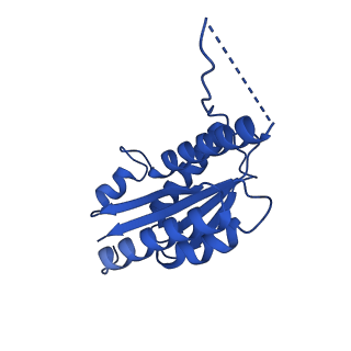 11631_7a4f_CG_v1-2
Aquifex aeolicus lumazine synthase-derived nucleocapsid variant NC-1 (120-mer)