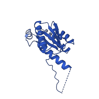 11631_7a4f_CI_v1-2
Aquifex aeolicus lumazine synthase-derived nucleocapsid variant NC-1 (120-mer)