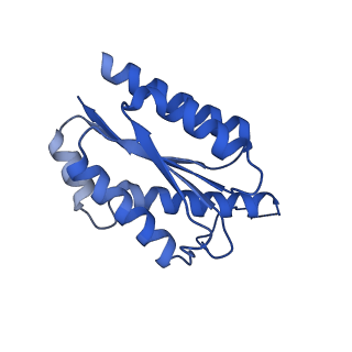 11631_7a4f_CJ_v1-2
Aquifex aeolicus lumazine synthase-derived nucleocapsid variant NC-1 (120-mer)