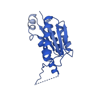 11631_7a4f_DA_v1-2
Aquifex aeolicus lumazine synthase-derived nucleocapsid variant NC-1 (120-mer)