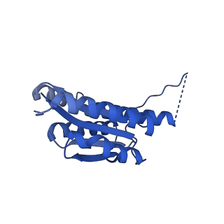 11631_7a4f_DC_v1-2
Aquifex aeolicus lumazine synthase-derived nucleocapsid variant NC-1 (120-mer)