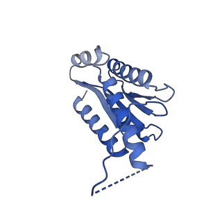 11631_7a4f_DE_v1-2
Aquifex aeolicus lumazine synthase-derived nucleocapsid variant NC-1 (120-mer)