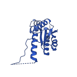 11631_7a4f_DF_v1-2
Aquifex aeolicus lumazine synthase-derived nucleocapsid variant NC-1 (120-mer)