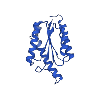 11631_7a4f_DG_v1-2
Aquifex aeolicus lumazine synthase-derived nucleocapsid variant NC-1 (120-mer)