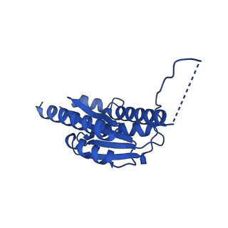 11631_7a4f_DI_v1-2
Aquifex aeolicus lumazine synthase-derived nucleocapsid variant NC-1 (120-mer)