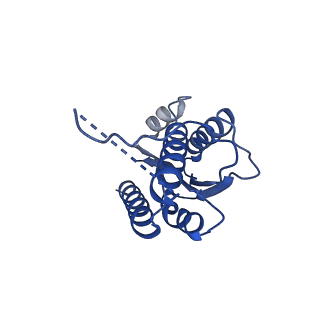 11631_7a4f_DJ_v1-2
Aquifex aeolicus lumazine synthase-derived nucleocapsid variant NC-1 (120-mer)