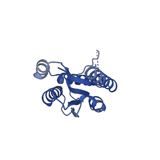 11631_7a4f_EA_v1-2
Aquifex aeolicus lumazine synthase-derived nucleocapsid variant NC-1 (120-mer)