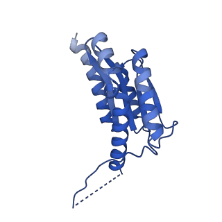 11631_7a4f_ED_v1-2
Aquifex aeolicus lumazine synthase-derived nucleocapsid variant NC-1 (120-mer)