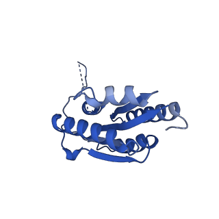 11631_7a4f_EF_v1-2
Aquifex aeolicus lumazine synthase-derived nucleocapsid variant NC-1 (120-mer)