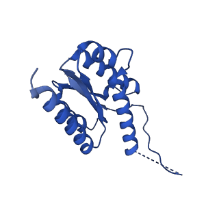 11631_7a4f_EH_v1-2
Aquifex aeolicus lumazine synthase-derived nucleocapsid variant NC-1 (120-mer)