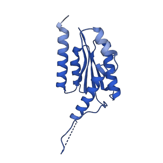 11631_7a4f_EI_v1-2
Aquifex aeolicus lumazine synthase-derived nucleocapsid variant NC-1 (120-mer)