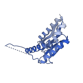 11631_7a4f_EJ_v1-2
Aquifex aeolicus lumazine synthase-derived nucleocapsid variant NC-1 (120-mer)
